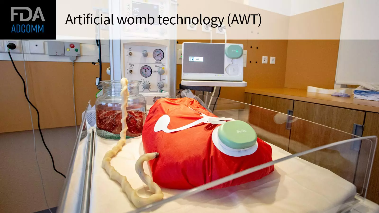 The Future of Premature Infant Care: FDA Raises Concerns over Artificial Womb Technology