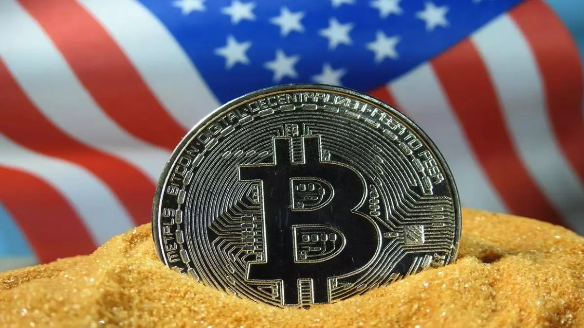 The US Government’s Rising Bitcoin Holdings: A Closer Look