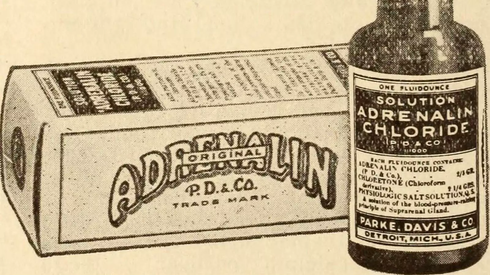 The Origins and Uses of Epinephrine: A Breakthrough in Medicine