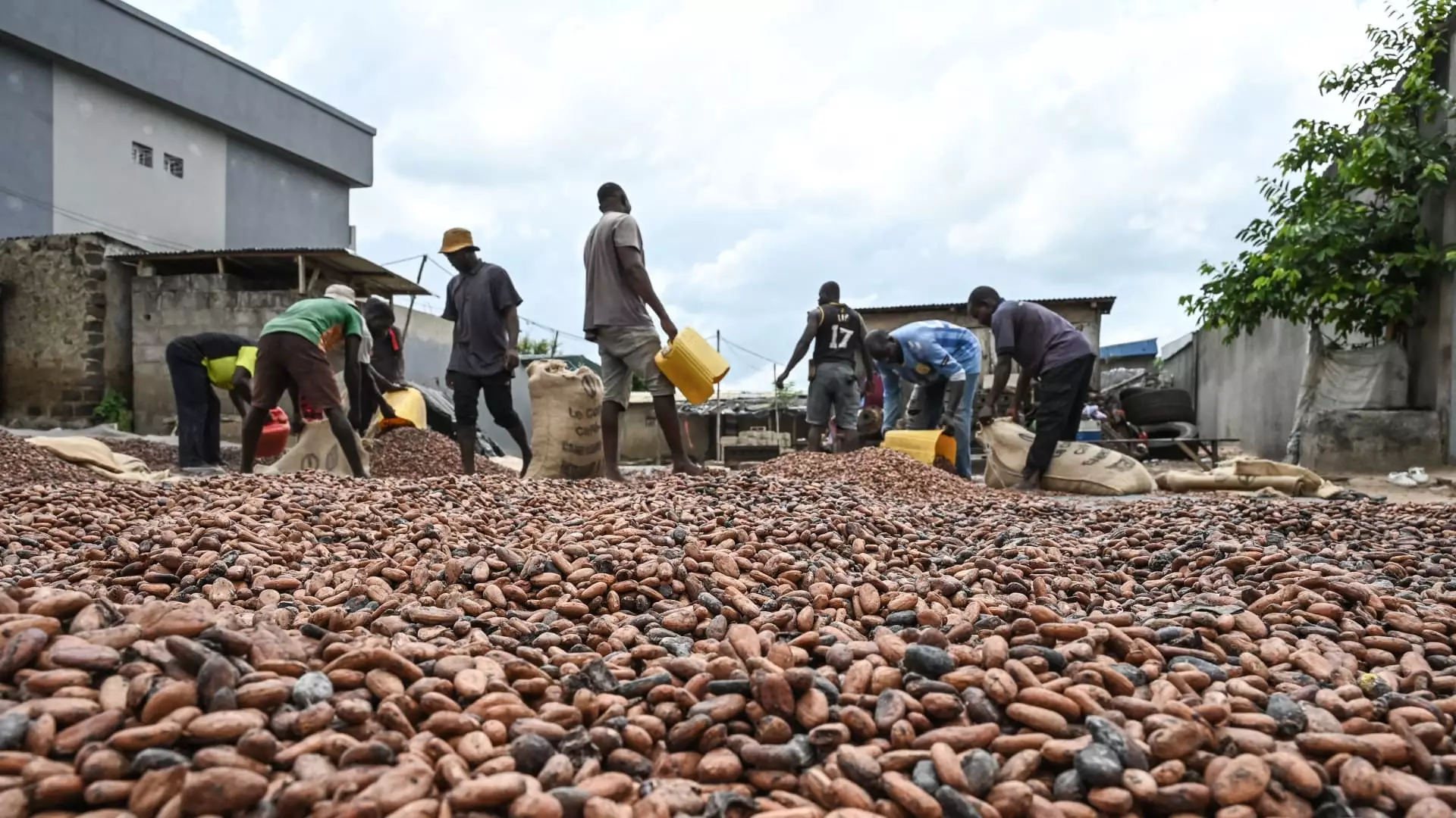 A Warning for Consumers: El Niño to Drive Up Prices of Raw Materials