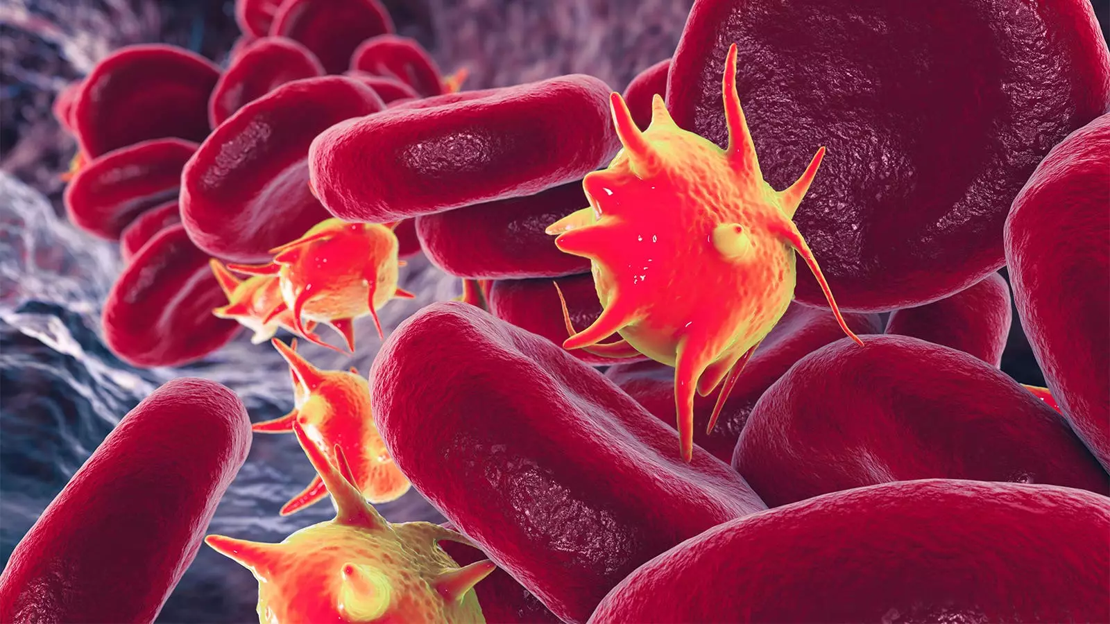 The Molecular Signature of Long COVID: Insights from Blood Protein Analysis