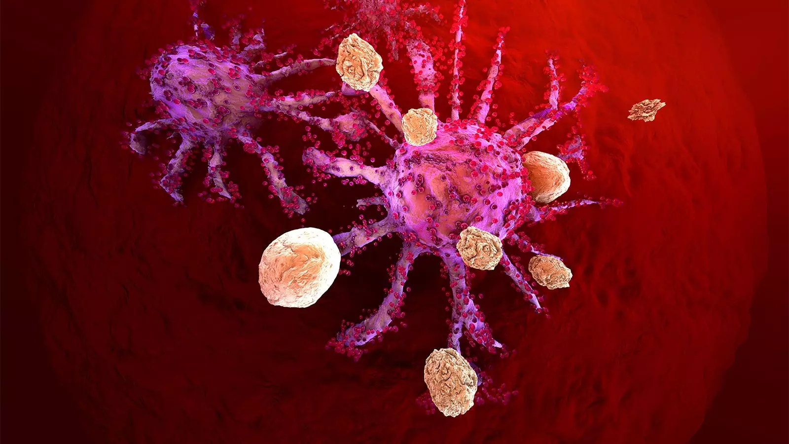 The Risk and Reward of CAR T-Cell Therapy: Should Patients and Doctors Be Worried?