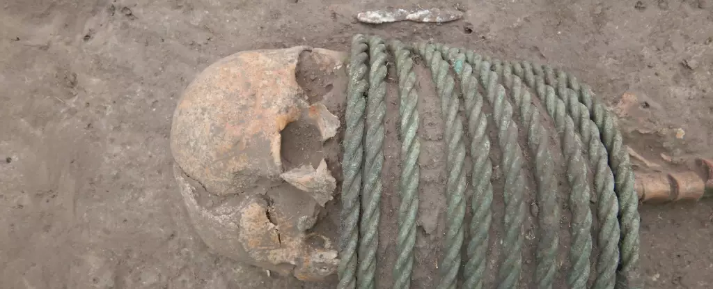 The Remarkable Discovery of an Ancient Cemetery Sheds Light on Ukrainian History