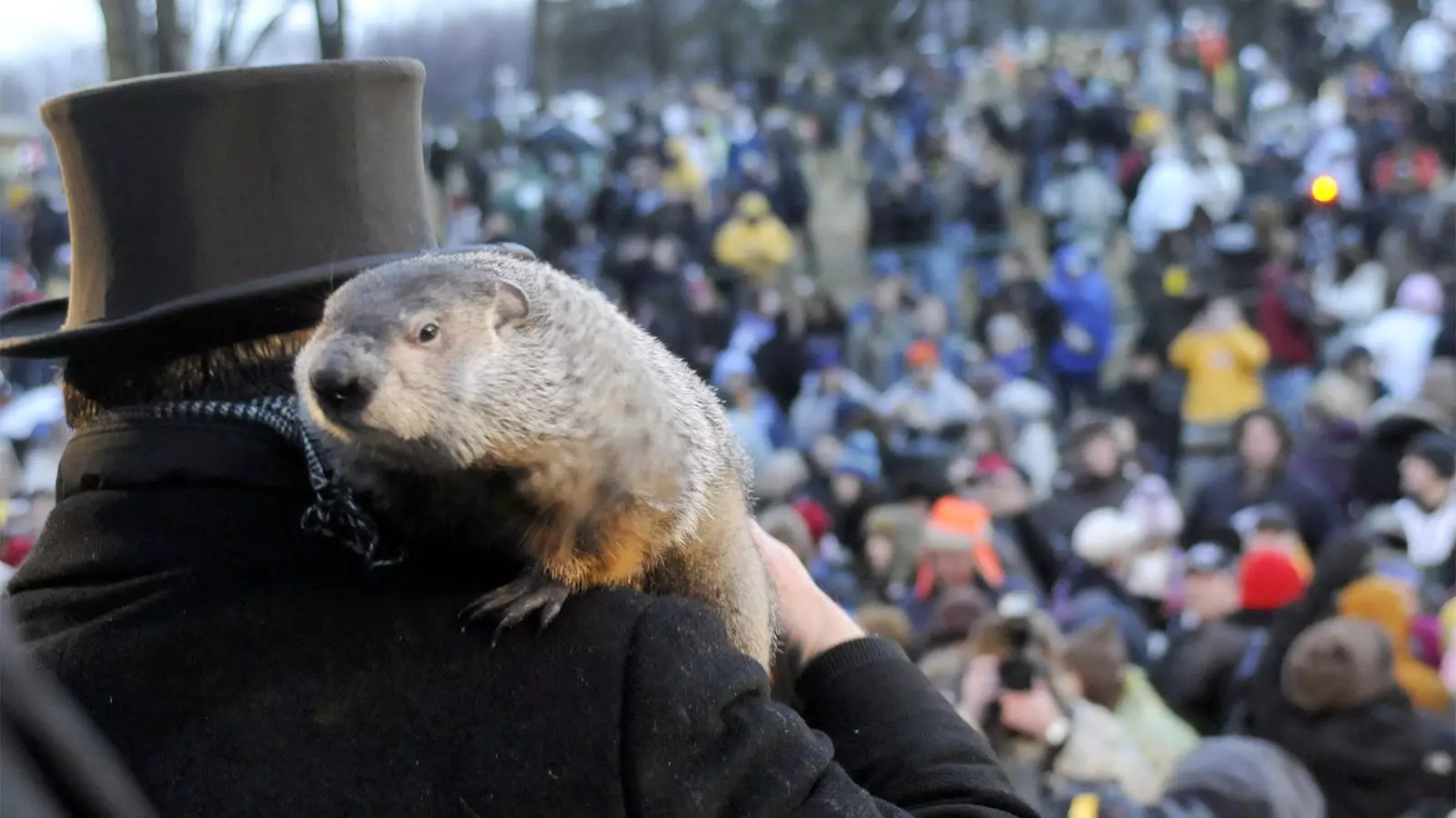 Medical Preparedness for Groundhog Day Festivities – Ensuring Safety at Gobbler’s Knob