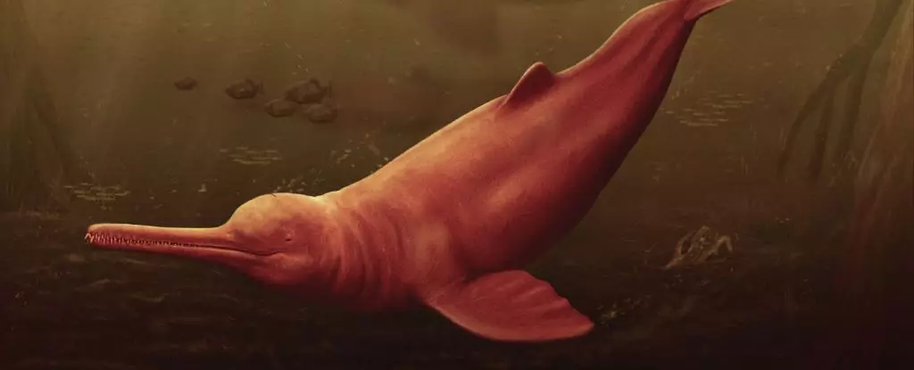 The Ancient Amazon River Dolphin: A Giant Among Freshwater Whales