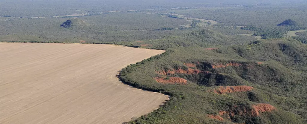 The Devastating Impact of Rangeland Degradation Worldwide