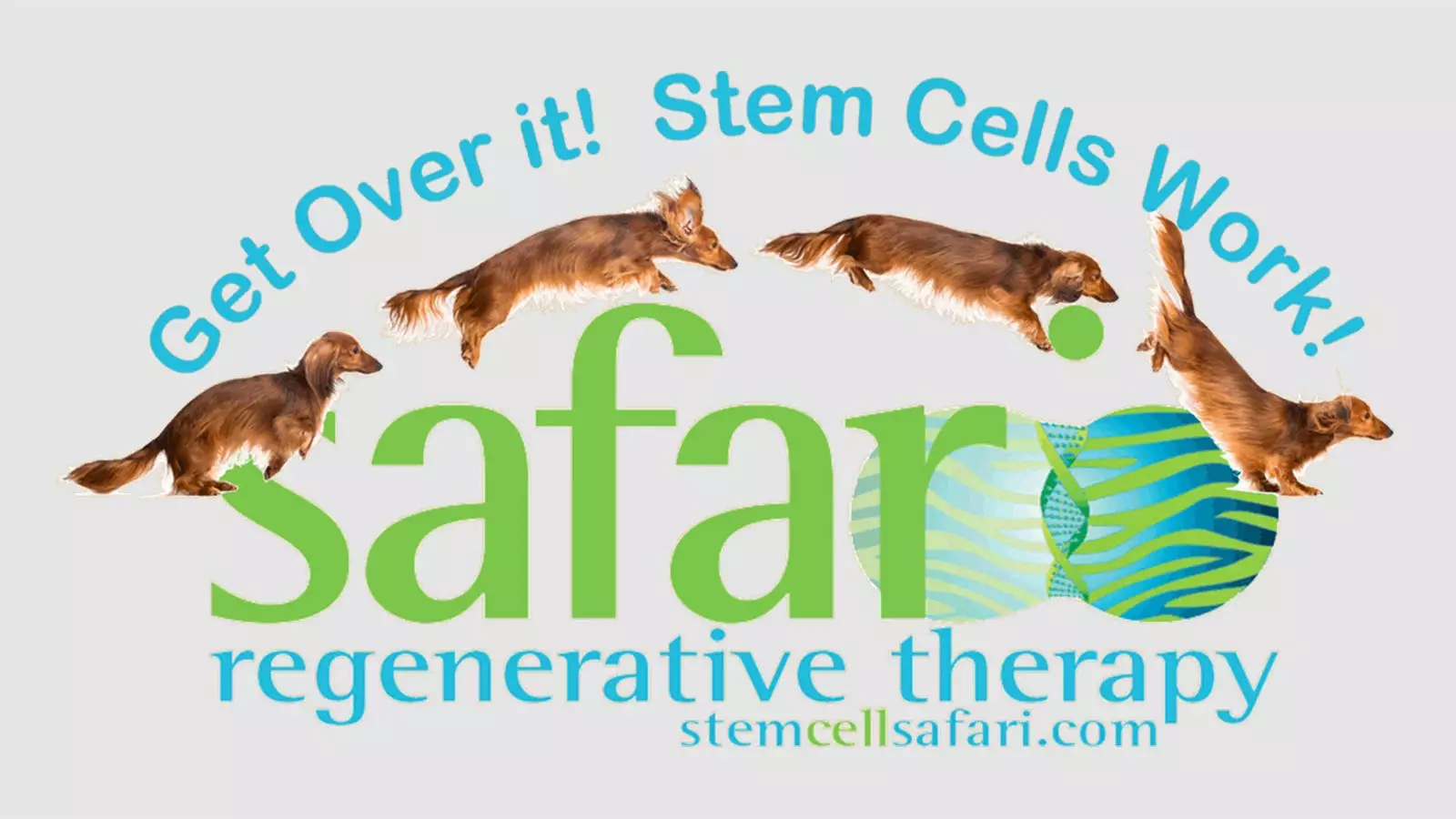 The FDA Cracks Down on Unapproved Stem Cell and PRP Products for Pets