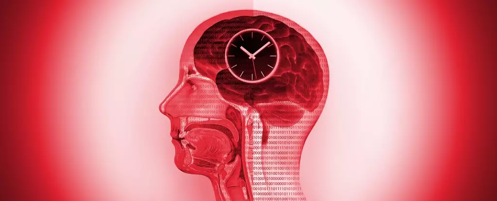 Understanding the Influence of Circadian Rhythms on Cancer Treatments