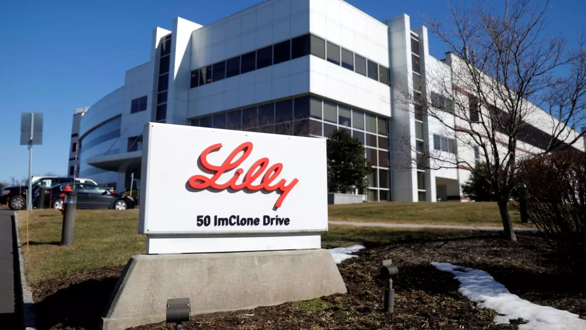 The Challenges Faced by Eli Lilly in the Weight Loss Market