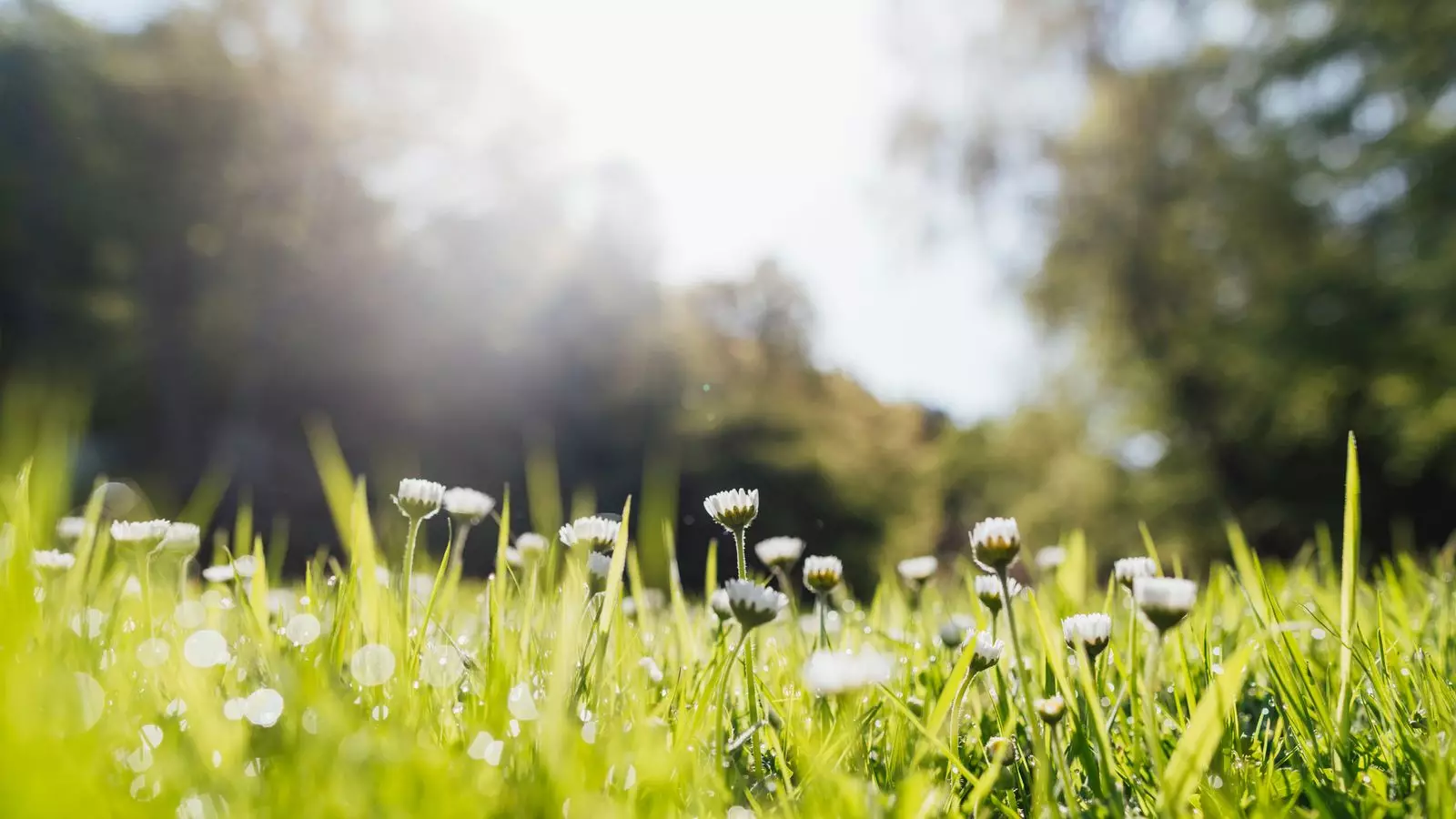 Anticipating a Shift in the UK’s Weather