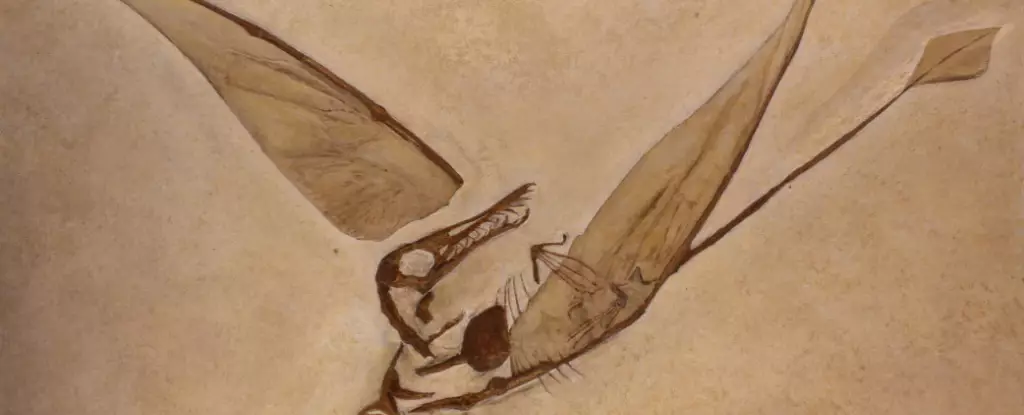 The Evolutionary Advantage of Pterosaurs’ Tail Structure