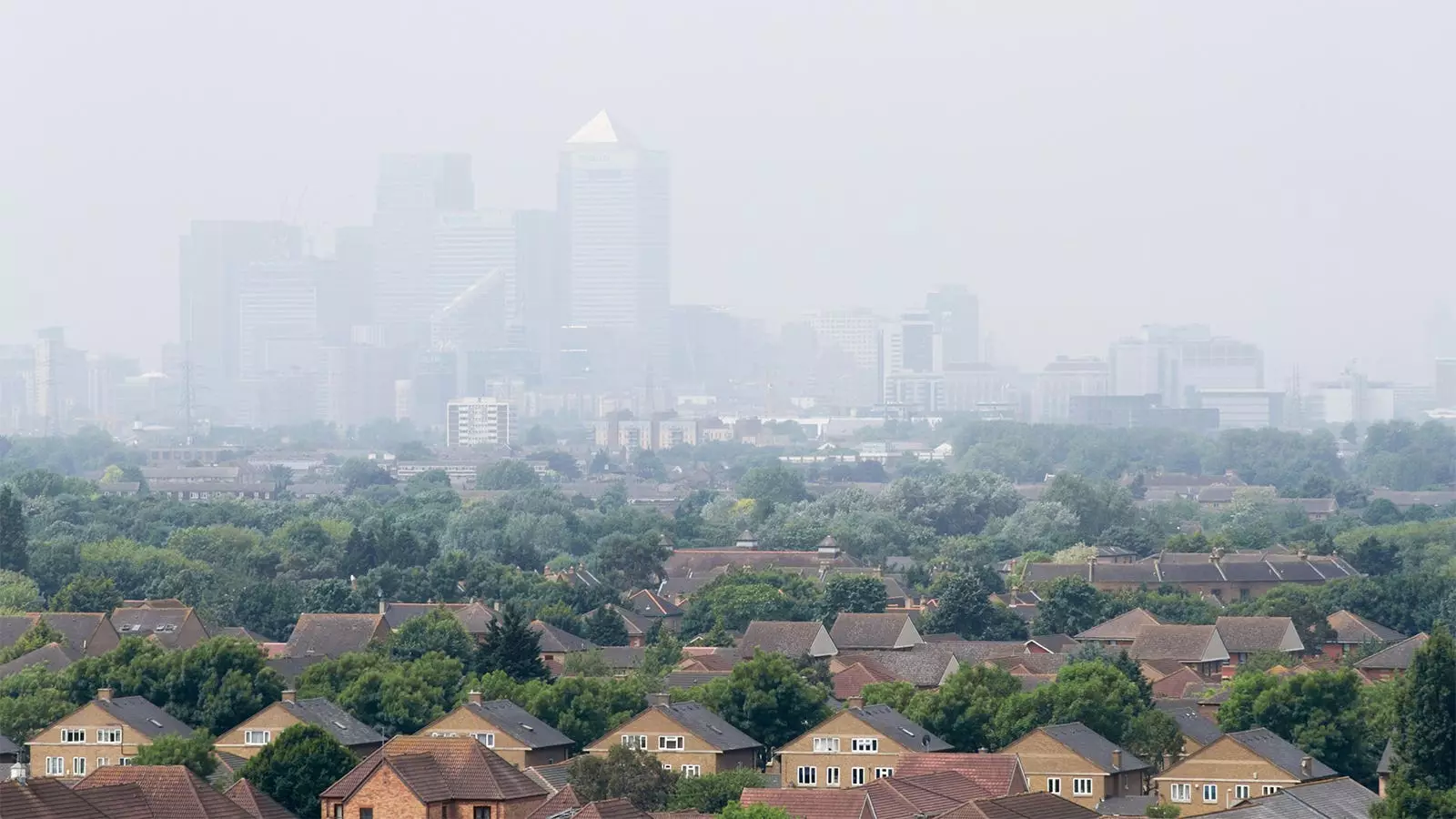 The Link Between Air Pollution and Psoriasis Risk