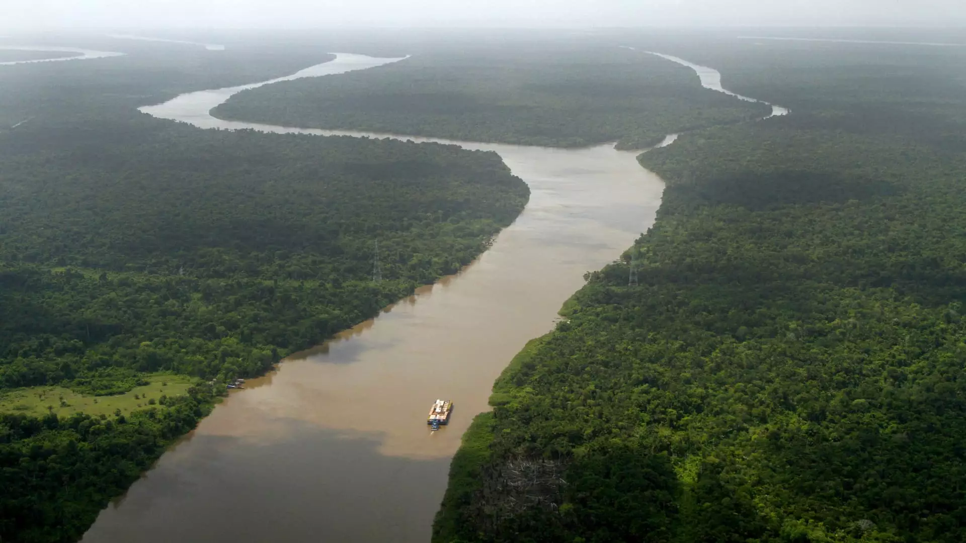 The Impact of Severe Drought in the Amazon Basin