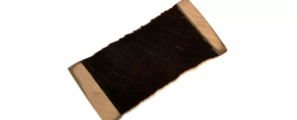 The Discovery of Super-Black Wood-Based Material: Nxylon