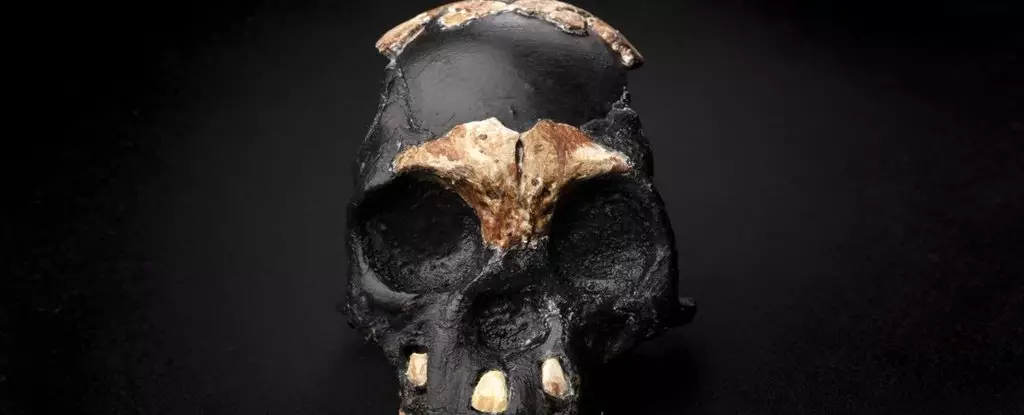 The Controversy Surrounding the Homo Naledi Burial Ground Theory