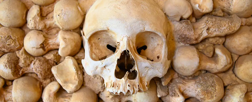 The Family Secrets of Jamestown’s Buried Men