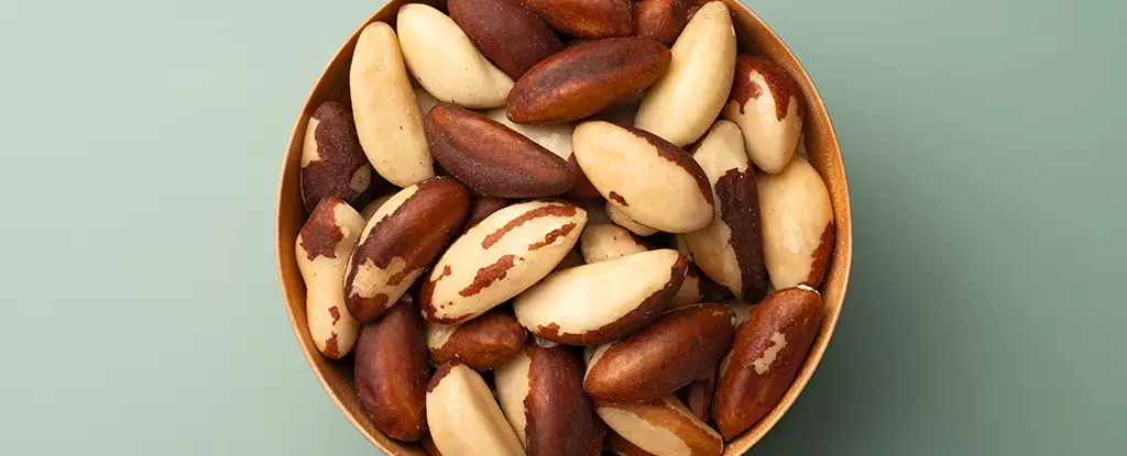 The Impact of Brazil Nuts on Gut Health: Insights from Recent Research