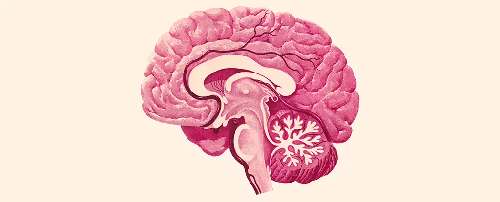 The Hidden Threat: HSV-1’s Pathways to Neurological Risk