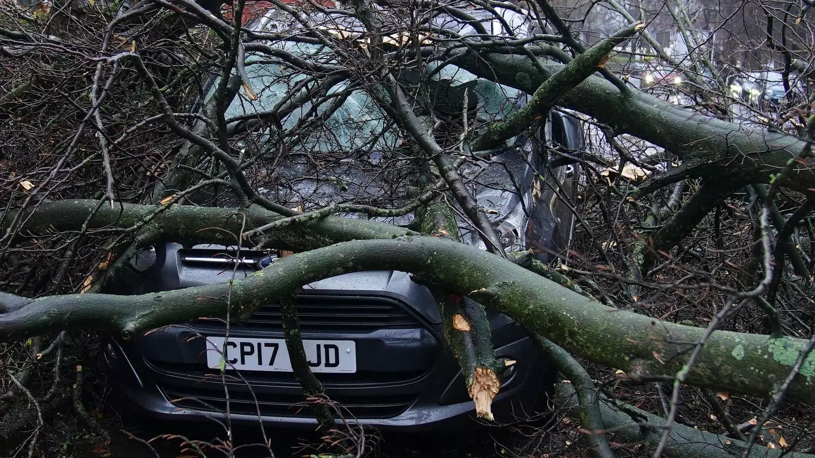 Storm Havoc: The Aftermath of Darragh and Weather Warnings Ahead