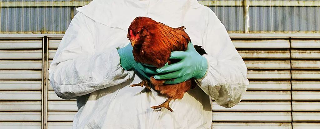 H5N1 Bird Flu: A Looming Threat and the Quest for Precaution