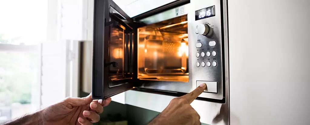 The Hidden World of Microwave Microbiomes: A Closer Look at Kitchen Hygiene