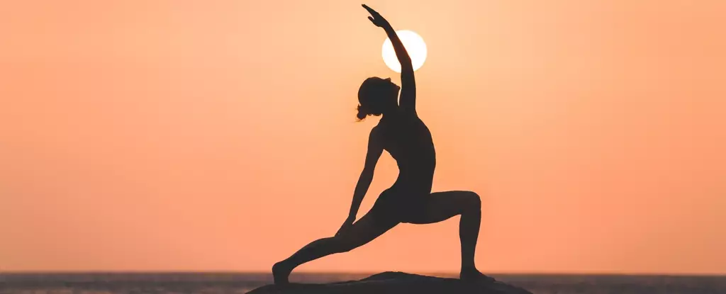 The Connection Between Yoga and Healthy Longevity