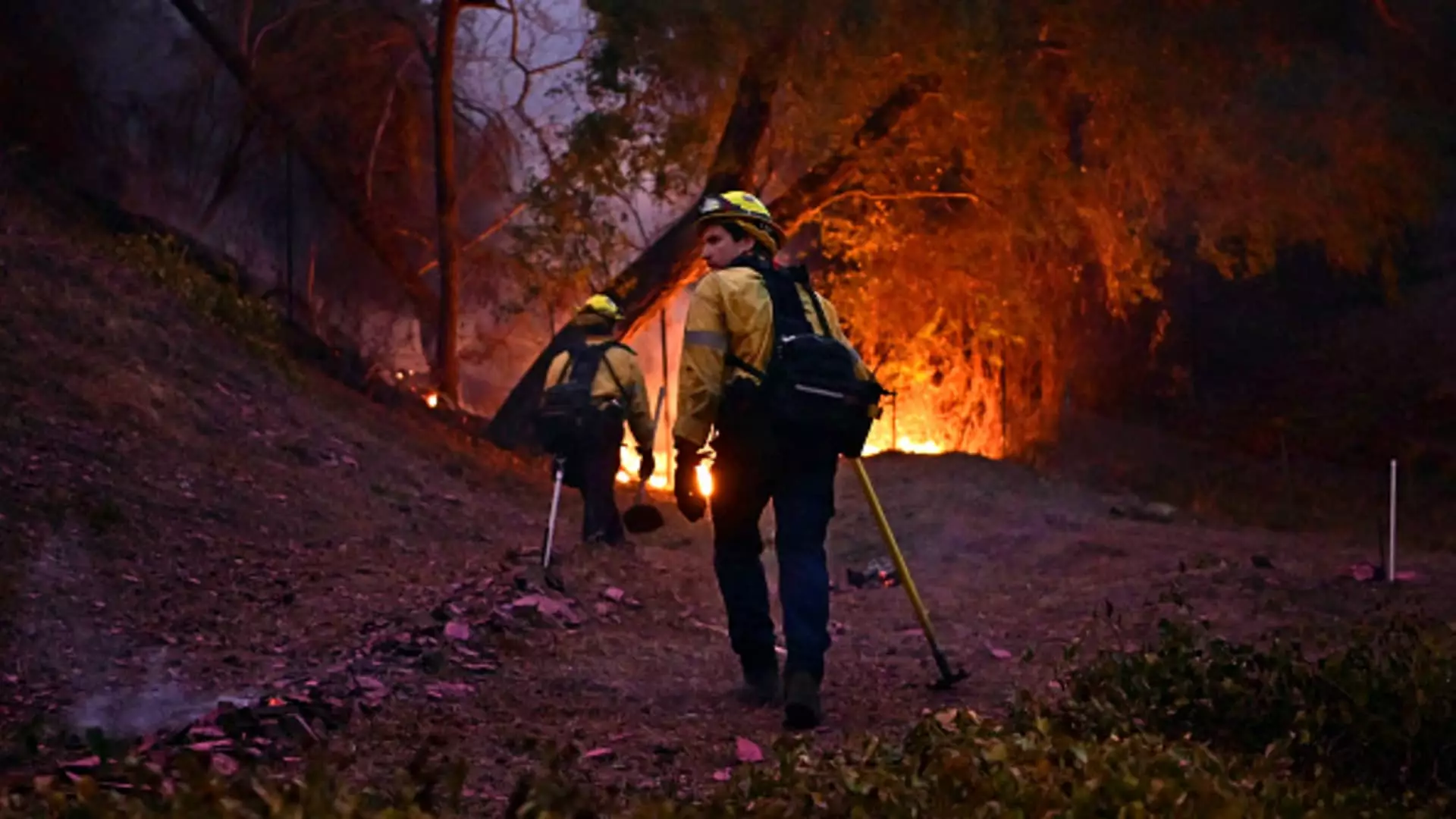 Catastrophic Wildfires Devastate Los Angeles: A Call for Change