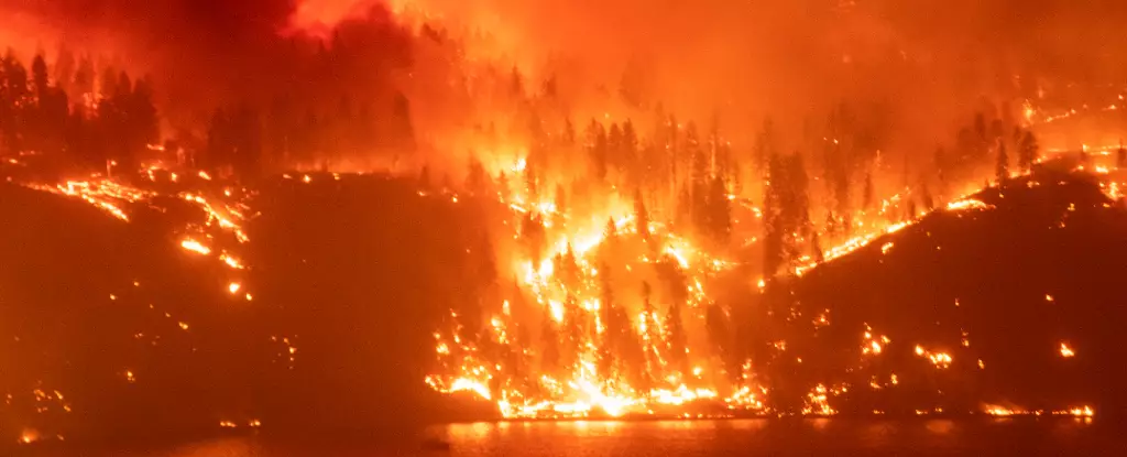 Embers of Change: The Unprecedented Era of Catastrophic Wildfires