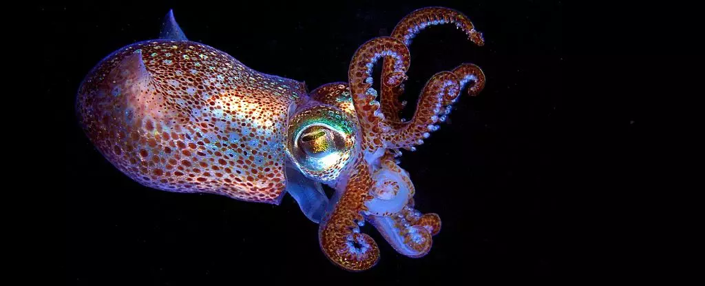 7 Fascinating Secrets Behind Squid Color-Changing Power: A Game Changer in Solar Technology