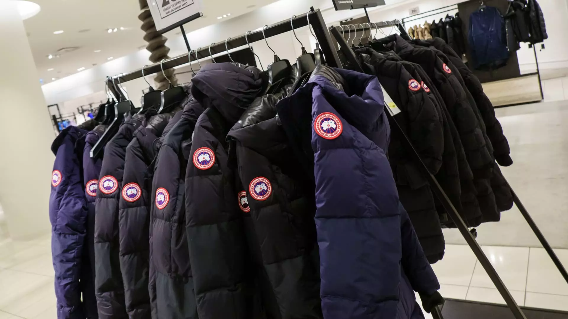 Canada Goose: A Daring Stumble Amidst Uncertainty
