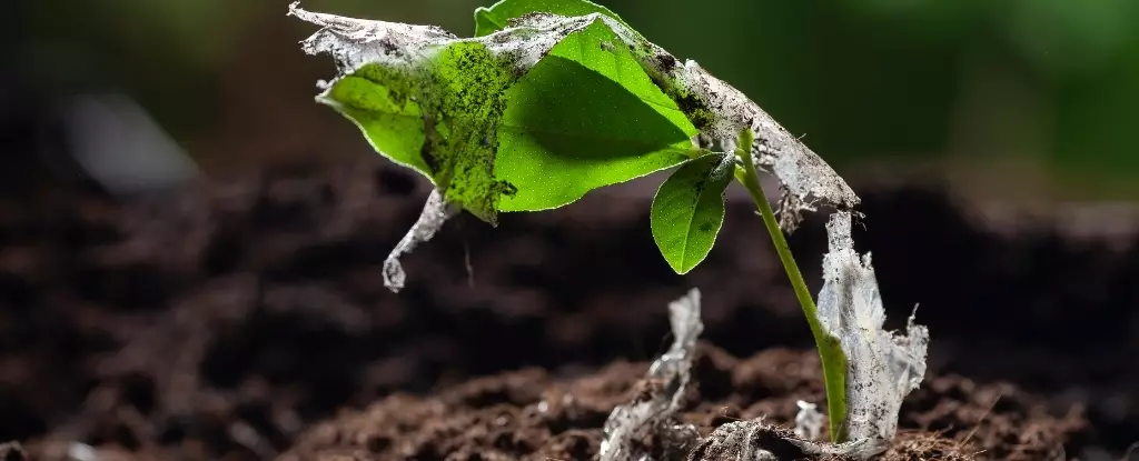 Poisonous Harvest: The Scourge of Microplastics in Our Food Supply