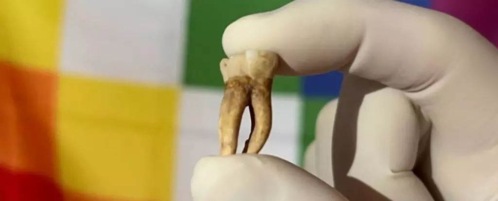 Unraveling the Hidden Legacy of Leprosy: An Insightful Turn in History