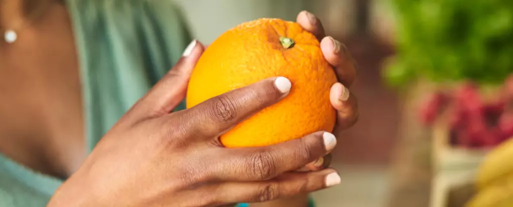 Self-Sufficiency in Crisis: The Stark Realities of Global Food Dependency