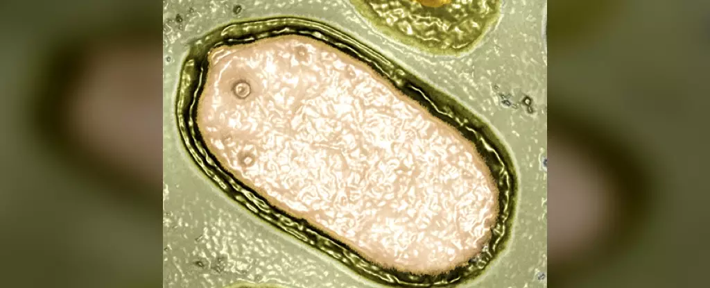 Revolution Unveiled: The Shocking World of Giant Viruses