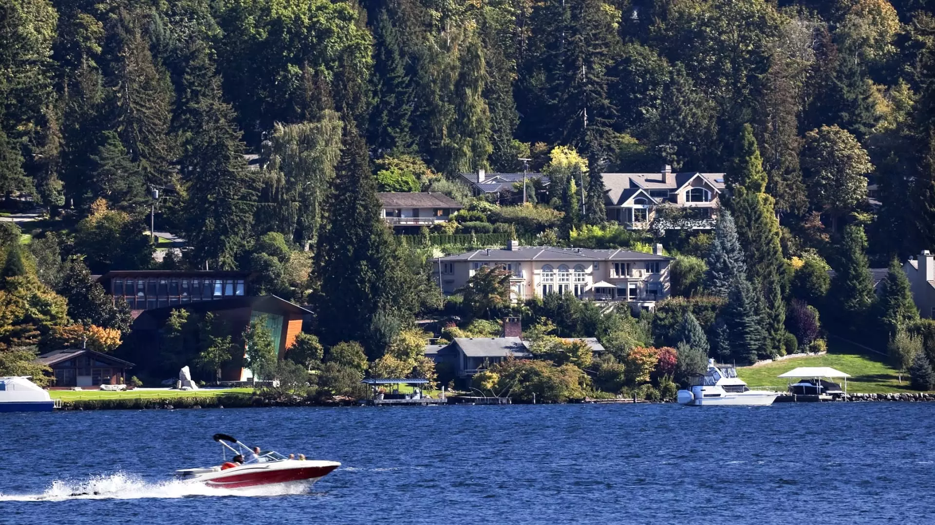 The Millionaire Paradox: Unpacking Wealth Inequality in America