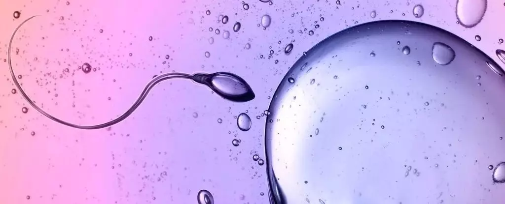 The Astonishing Mechanics of Sperm: A Dance Against Nature’s Laws
