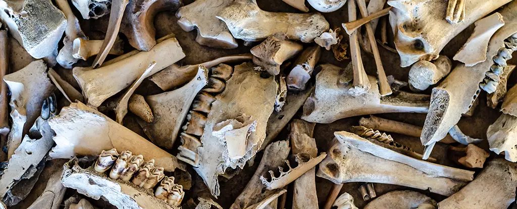 Unveiling the Hidden Genius of Neanderthals: A Breakthrough That Challenges Stereotypes