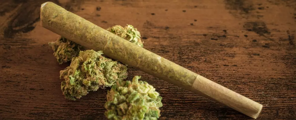 The Hidden Damage: How Cannabis Leaves a Lasting Mark on Our Health