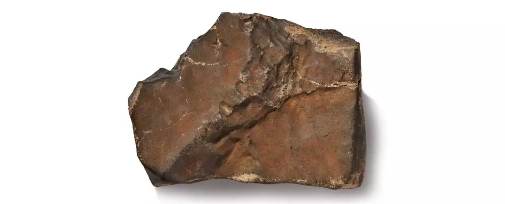 The Controversy of Cosmic Wealth: Is The Sale of Martian Meteorites Moral or Mercenary?