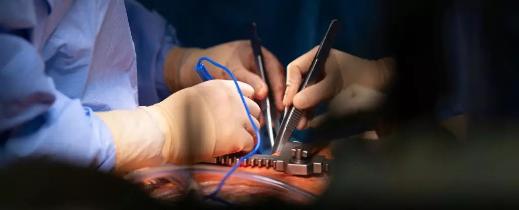 The Ethical and Medical Divide in Heart Transplant Innovations: A Critical Examination