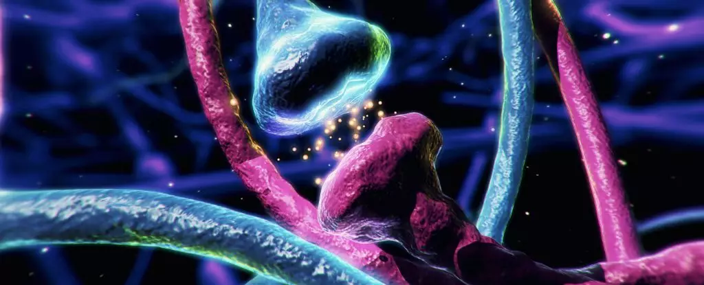 The Hidden Power of Dopamine: Unveiling Its Unexpected Precision and Its Implications for Mental Health