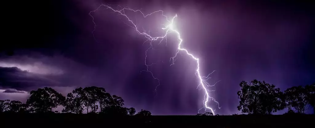 The Hidden Cost of Nature’s Fireworks: The Overlooked Toll of Lightning on Forests