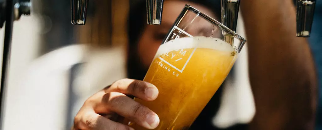 The Untapped Power of Awareness and Action: A Critical Look at Reducing Alcohol Harm