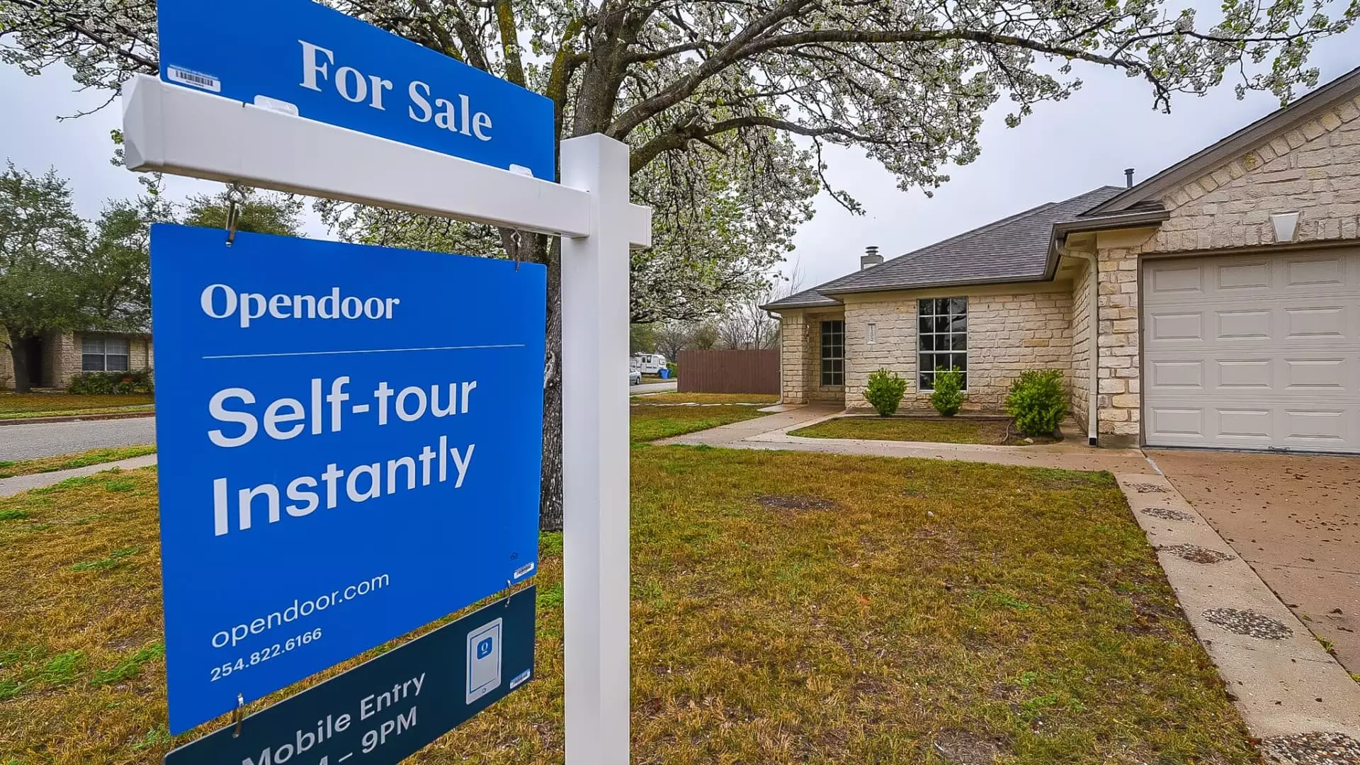 Opendoor’s Tumultuous Rise and Stark Reality Check: A Cautionary Tale of Speculative Hype